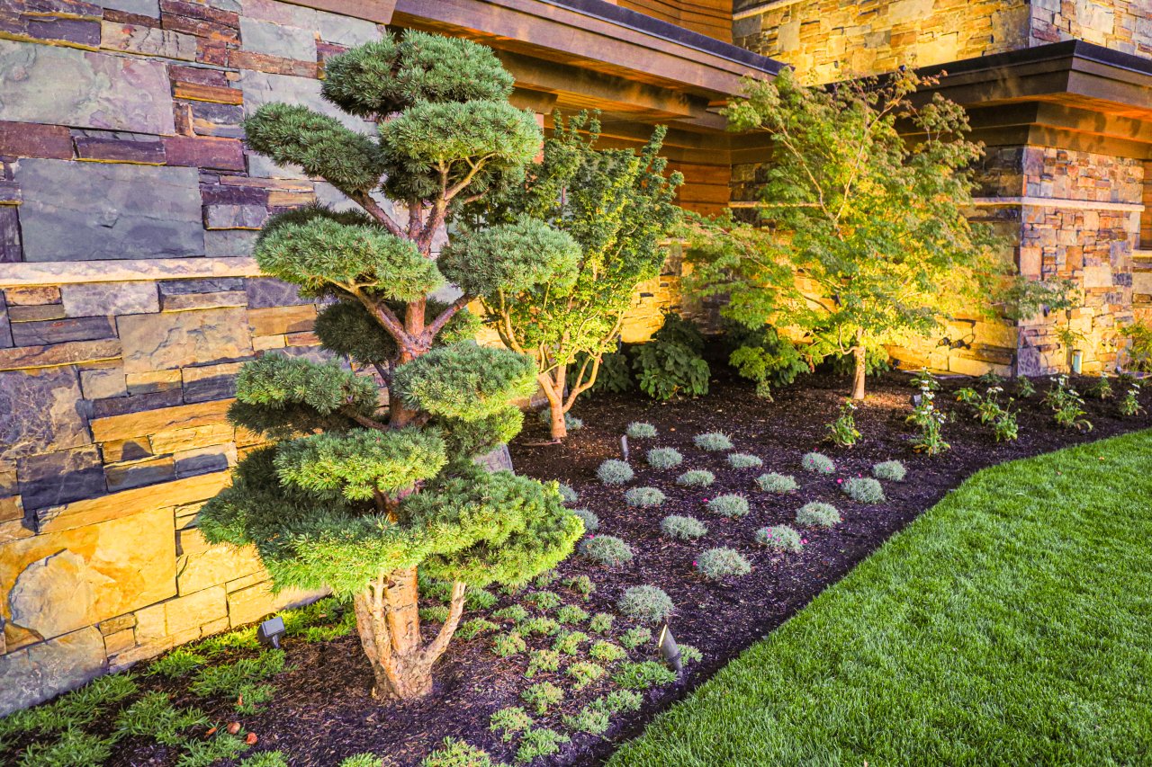 Liz-Applegate---1075-Lynwood-Drive-Provo-(49-of-53)